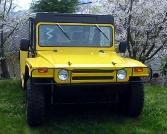 Front View of Raised Cage Resort Car