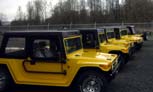 Group of Raised Cage Resort Cars in Yard.